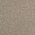 Shaw Floors: Dalton 30 15' Taupe Mist